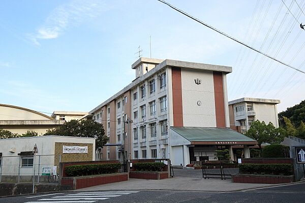 広島県広島市西区古江西町(賃貸マンション3DK・3階・65.07㎡)の写真 その17