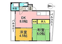 広島電鉄9系統 白島駅 徒歩4分の賃貸マンション 3階2DKの間取り