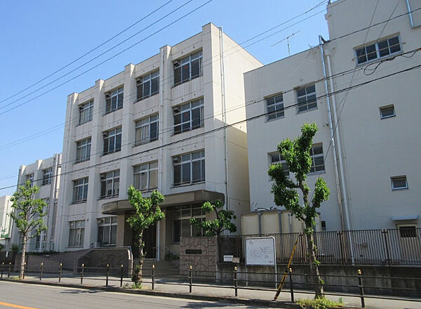 画像19:【小学校】大阪市立中野小学校まで801ｍ