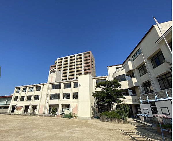 画像21:【小学校】大阪市立中道小学校まで346ｍ