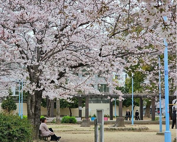 エグゼ大阪城東 503｜大阪府大阪市東成区大今里西2丁目(賃貸マンション1K・5階・27.60㎡)の写真 その25