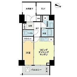 プレセダン板橋本町 8階1DKの間取り