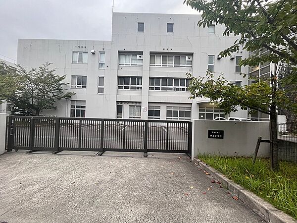 周辺を拡大表示
