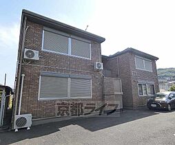 フレンドコスモス