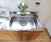 比較的大きなシンクです