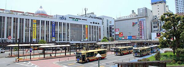 周辺を拡大表示