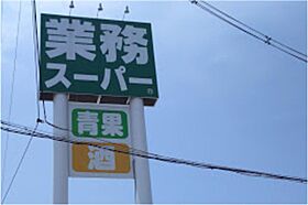 RIHITO八尾D棟  ｜ 大阪府八尾市弓削町南2丁目（賃貸アパート2LDK・1階・52.66㎡） その27