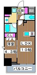 ラティエラ板橋 8階1LDKの間取り