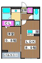 プランドールシモンズ 1LDKの間取図画像