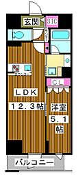 メゾン クロロ 1LDKの間取図画像
