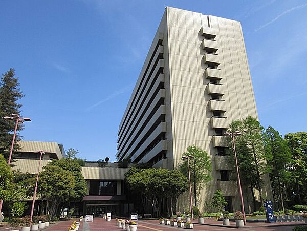 画像19:姫路市役所（427m）