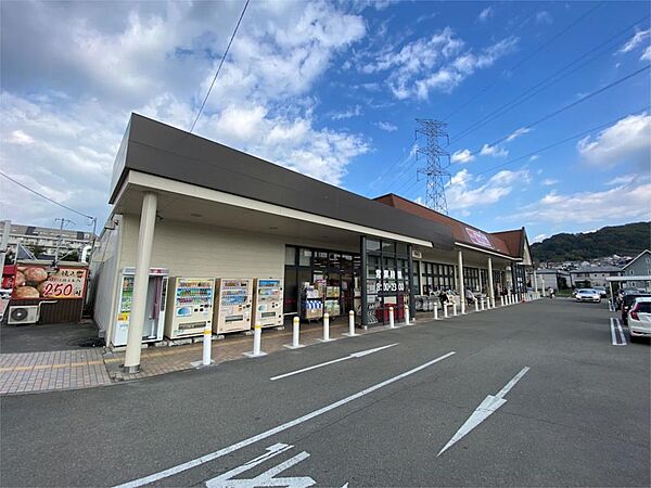 画像18:マックスバリュ 安室店（3055m）