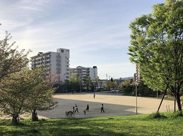 画像16:熊野田公園（1211m）