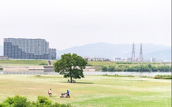 画像24:淀川河川公園（2999m）