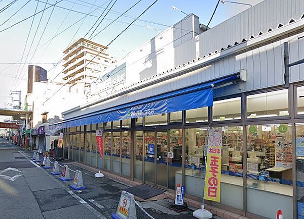 画像19:マルハチ立花店（379m）