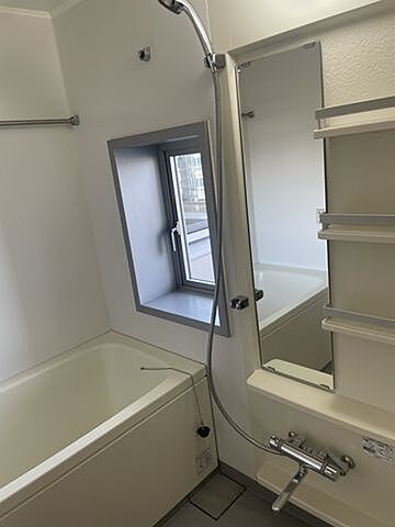 浴室 ザ・タワー芝浦 19階/-