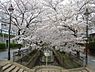 周辺：呑川緑道 徒歩9分。 710m