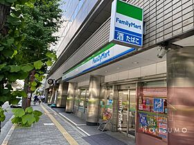 セレニテ江坂ミラク  ｜ 大阪府吹田市江坂町1丁目（賃貸マンション1LDK・5階・33.49㎡） その23