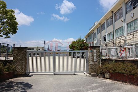 今宿小学校(910m)