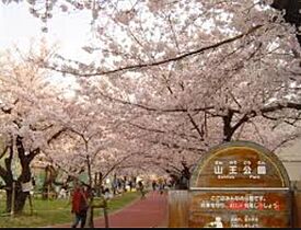 グリュックハイム山王公園前  ｜ 福岡県福岡市博多区山王1丁目（賃貸マンション1K・5階・24.90㎡） その30