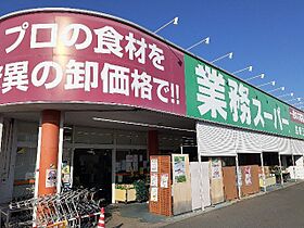 ラ　ヴィエ　ベル 101 ｜ 群馬県高崎市南大類町1624-2（賃貸アパート1LDK・1階・50.01㎡） その20