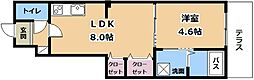 グレース草津 1LDKの間取図画像