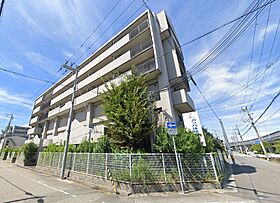 ウィズ・ユー西宮  ｜ 兵庫県西宮市津門綾羽町（賃貸マンション1LDK・4階・36.45㎡） その1