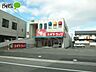 周辺：スギ薬局井田店 433m