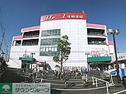 ロヂャース 徒歩11分。その他小売店 880m