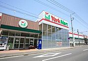 ヨークマート下前店 779m