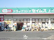 ドラッグセイムス上小町店 917m