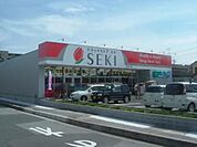 セキ薬品 徒歩13分。ドラックストア 1040m