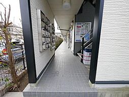 17 / 32
