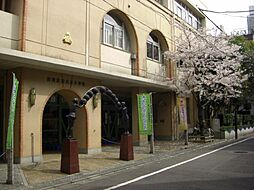 【小学校】台東区立大正小学校まで492ｍ