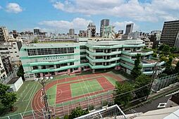 【小学校】台東区立松葉小学校まで1225ｍ