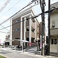 ステラ・デーア