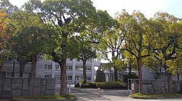 画像24:【高校】観音寺第一高等学校まで309ｍ