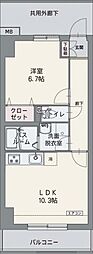 コルディエラ
