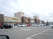 アピタ富山東店 1100m