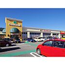 ドラックストア「サンドラッグ岡谷店まで662ｍ」