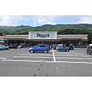 スーパー「デリシア宮川店まで1846ｍ」