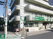 若葉インターナショナル幼保園 237m