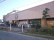 ワイズマートディスカ飯山満店 886m