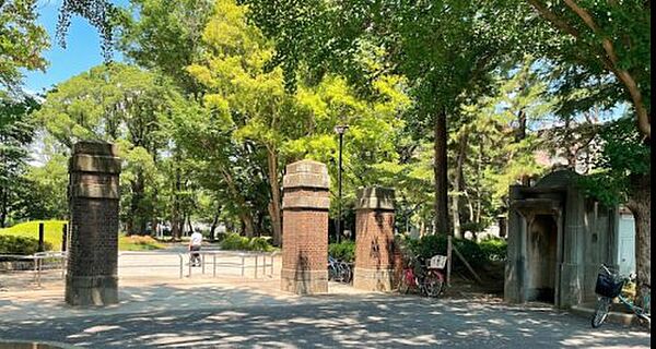 画像22:【公園】松戸中央公園まで829ｍ