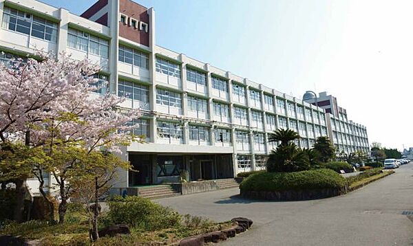 画像13:兵庫県立姫路南高等学校