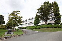 エルシオン