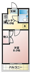 🉐敷金礼金0円！🉐マンションレジーナ