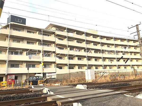 サンハイツ井野台 212｜茨城県取手市井野台１丁目(賃貸マンション2DK・2階・46.20㎡)の写真 その1