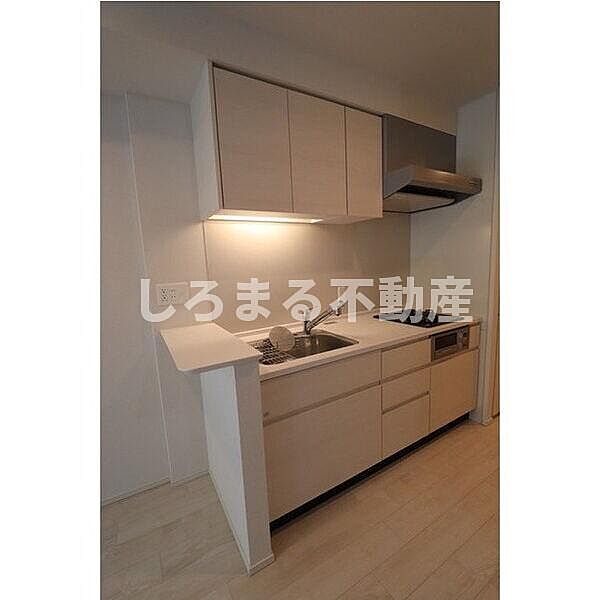 OPUS RESIDENCE SHINSAIBASHISOUTH 1205｜大阪府大阪市中央区瓦屋町1丁目(賃貸マンション1LDK・12階・44.10㎡)の写真 その9