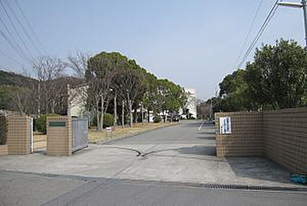 画像7:兵庫県立東播工業高校（2951m）